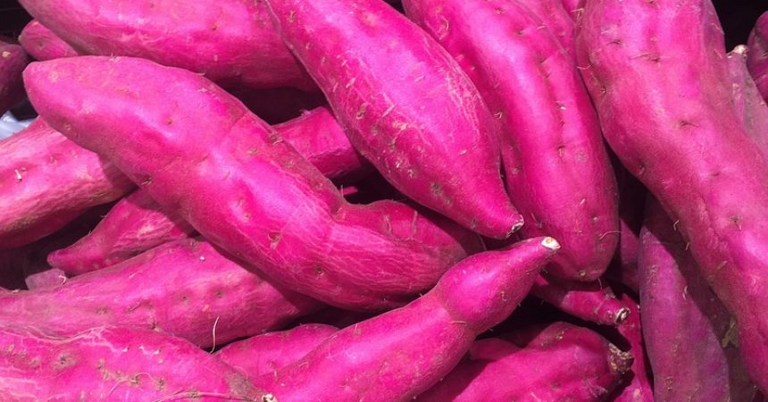 patates douces violettes